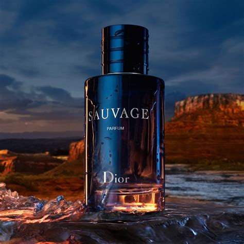 cologne dior sauvage|dior sauvage parfum 100 ml.